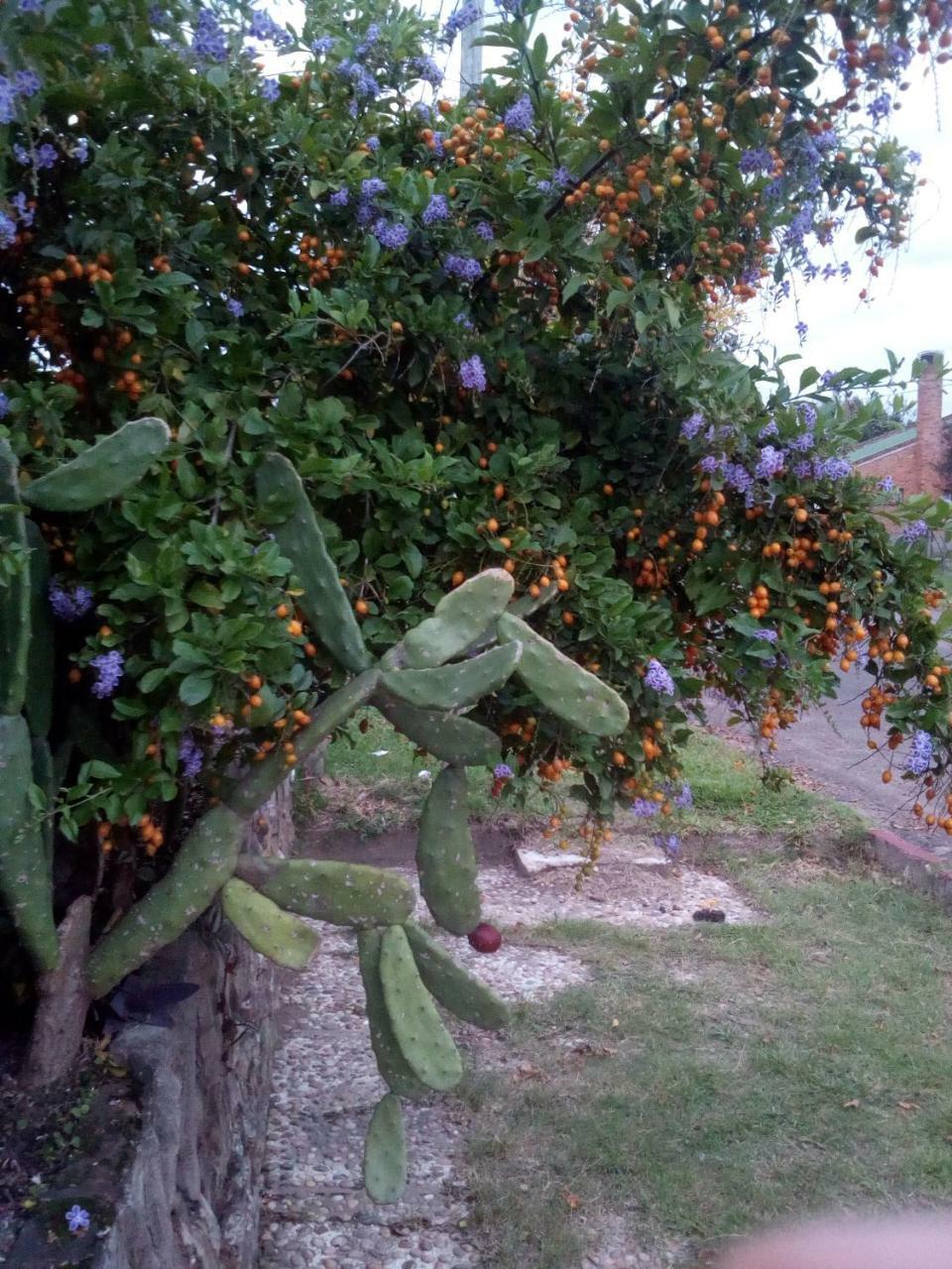 Apartmán Jardines De Don Bosco Salto Exteriér fotografie